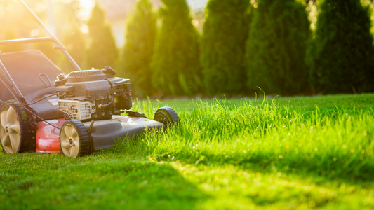 What I've learnt from the pros: the importance of great lawnmower accessories