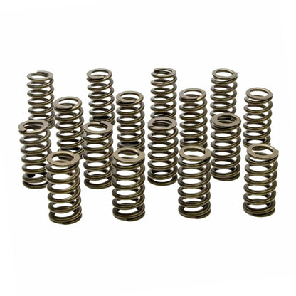 munirater Fit For all LS Engines - .600" Lift Rated 1218-Drop-In Beehive Valve Spring Kit