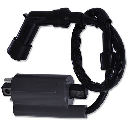 Ignition Coil Replacement for Yamaha Raptor 700 YFM700 2006-2019/SE SE 2 Anniversary GYTR