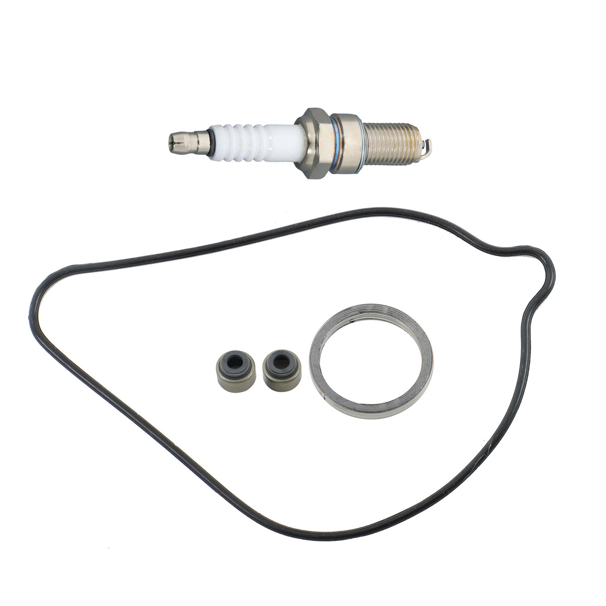 Cylinder Head & Engine Rebuild Kit for Honda Rancher TRX420 2009-2024
