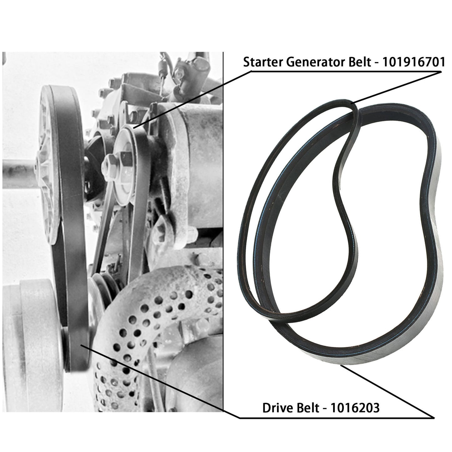 munirater Starter Generator & Drive Belt Replacement for Club Car 1997 - Up DS & 2004 - Up Precedent 101916701 1016203