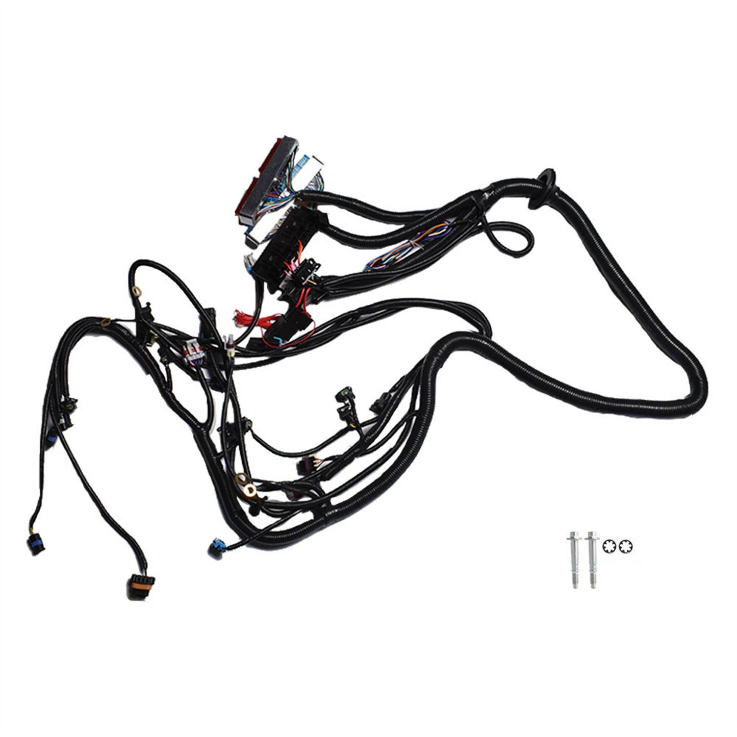 munirater Standalone Wiring Harness T56 or Non-Electric Tran Replacement for 1997-2006 DBC LS1 Engines 4.8 5.3 6.0