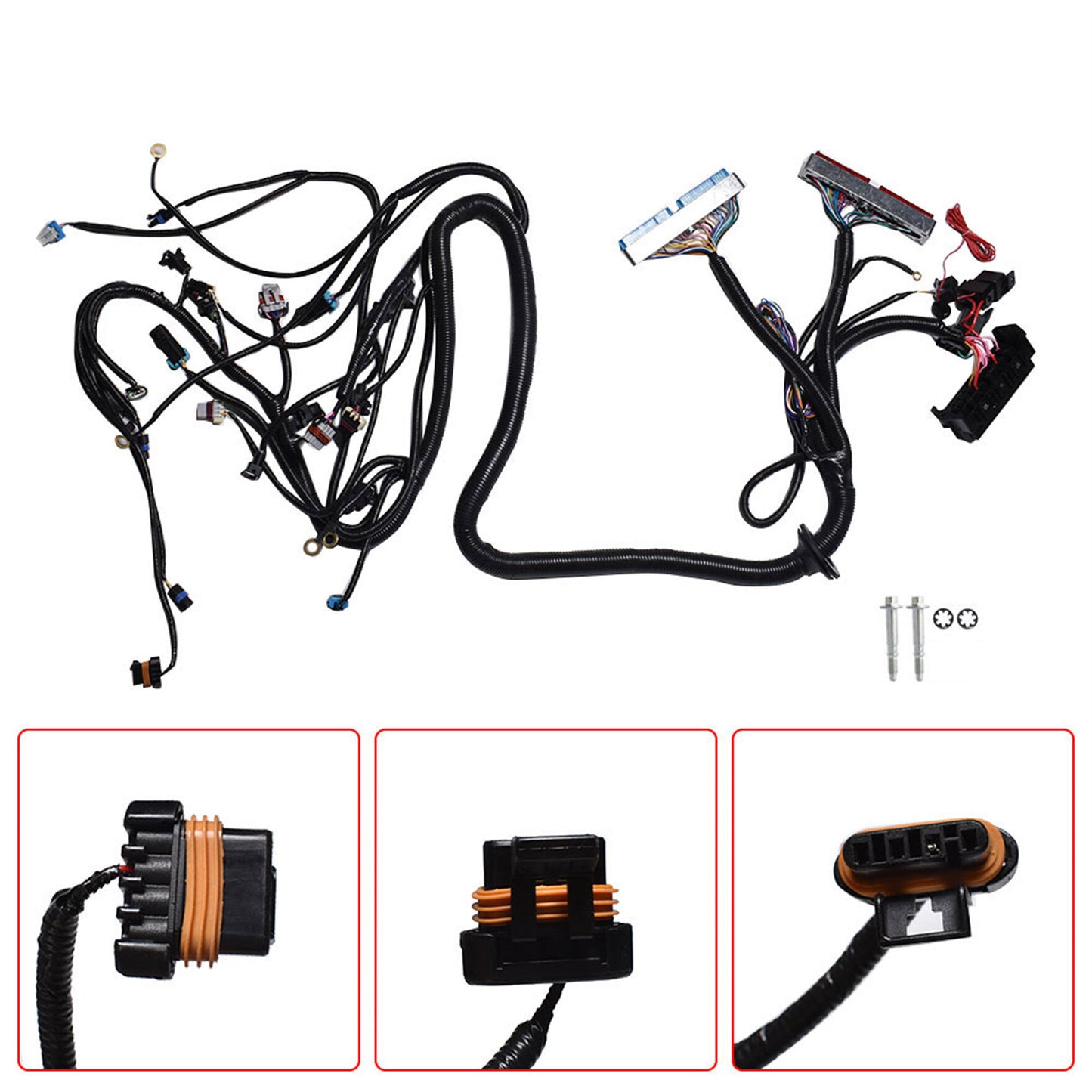 munirater Standalone Wiring Harness T56 or Non-Electric Tran Replacement for 1997-2006 DBC LS1 Engines 4.8 5.3 6.0