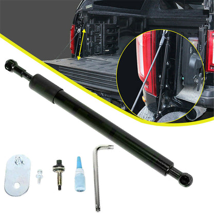 munirater Rear Left Tailgate Assist Lift Support Shock Struts DZ43200 Replacement for F-150 2004-2014