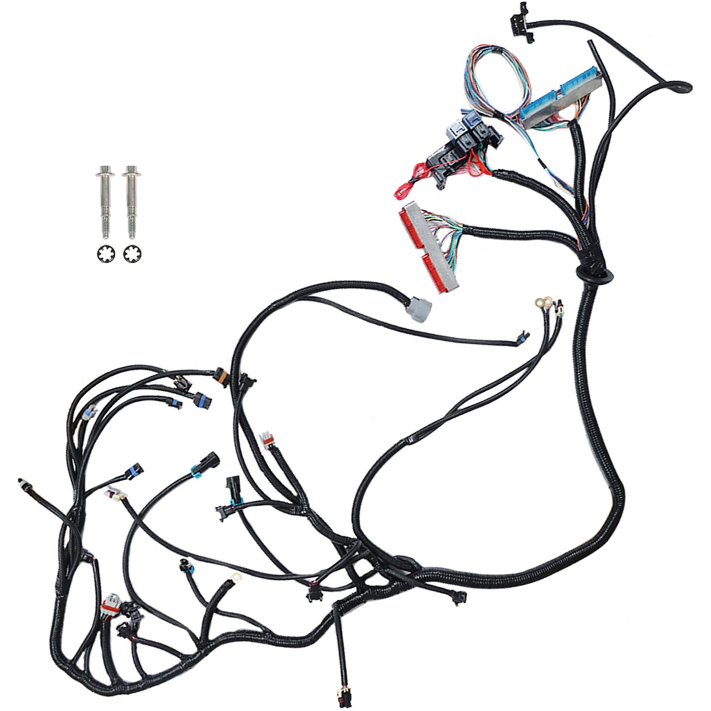 munirater Standalone Wiring Harness with 4L60E Replacement for 1998-2006 DBC LS1 Engine 4.8 5.3 6.0 Vortec T56 or Non-Electric Tran (Drive by Cable)