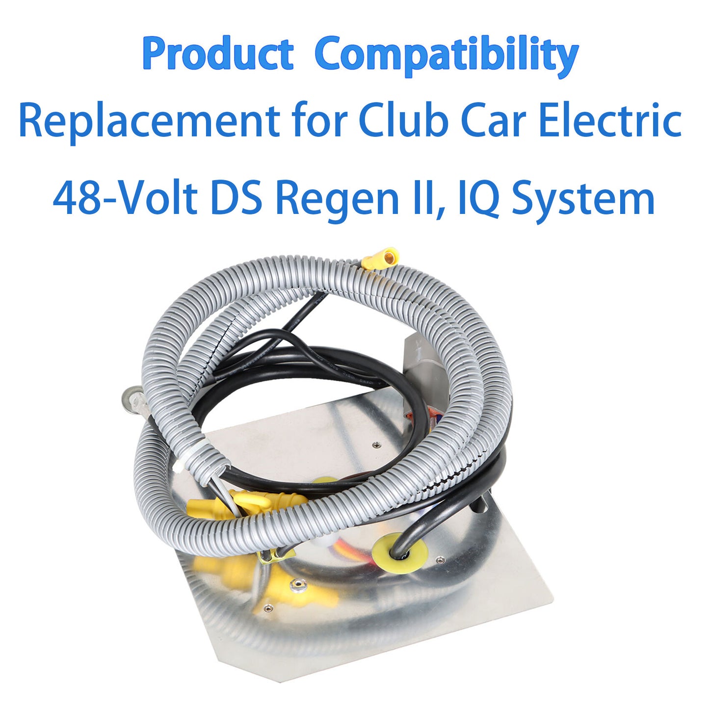 munirater 48 Volt Golf Cart On Board Computer Replacement for Club Car DS Electric Regen II, IQ System